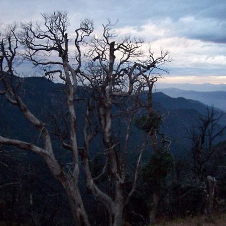 Kausani Best Inn Dış mekan fotoğraf