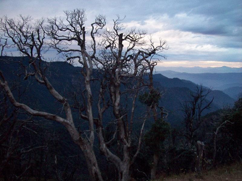 Kausani Best Inn Dış mekan fotoğraf